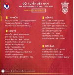 Lịch Thi đấu AFF Cup của đội tuyển quốc gia Việt Nam e.jpg