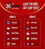 Lịch Thi đấu AFF Cup của đội tuyển quốc gia Việt Nam j.jpg